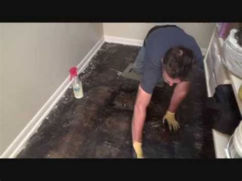 How To Remove Black Tar Adhesive From Wood Floors Floor Roma