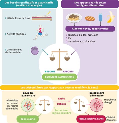 Régimes et équilibre alimentaire Lelivrescolaire fr