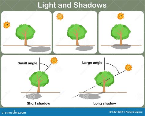 Learning Light And Shadow For Kids Worksheet Stock Vector