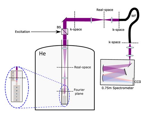 Fig S1 Schematic Of The Experimental Setup Download Scientific Diagram