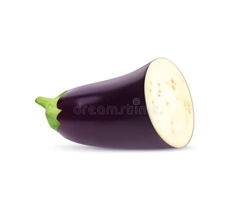 Eggplant Cross Section Stock Illustrations – 33 Eggplant Cross Section ...