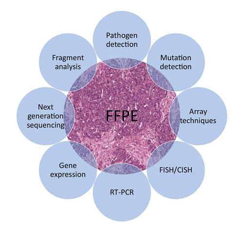 Molecular Pathological Analysis In Routine Diagnostic