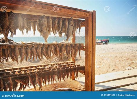 Fisch Wird In Der Sonne Auf Hintergrund Von Meer Getrocknet Stockbild