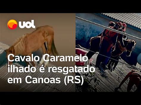 Cavalo é resgatado de telhado em bote dos bombeiros no RS