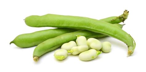 29 Types Of Beans From A To Z With Photos Live Eat Learn