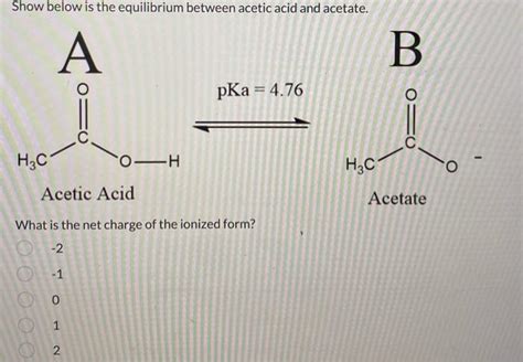 Solved Show below is the equilibrium between acetic acid and | Chegg.com