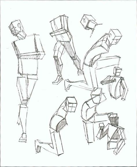 Human Body Frame Via Box Style Human Anatomy Drawing Anatomy