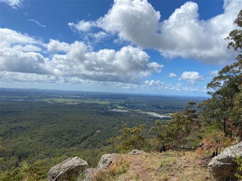 Bago Loookout | Dog Friendly Hike in Wauchope | Pupsy