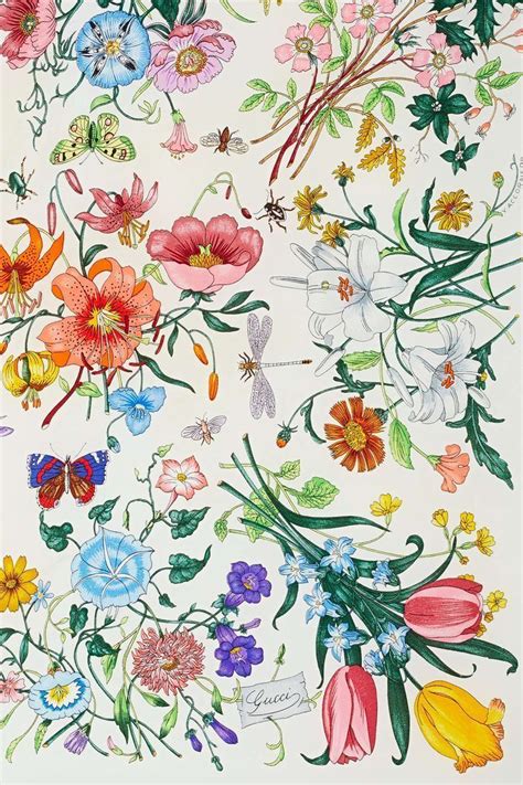 Gucci Floral Wallpapers Top Free Gucci Floral Backgrounds Wallpaperaccess Prints Floral