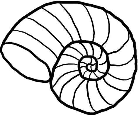 Black And White Sea Shell Clipart - ClipArt Best