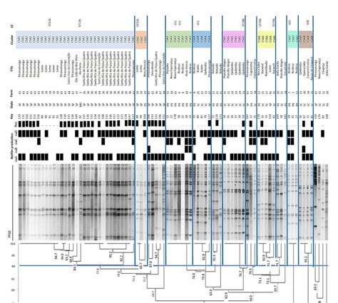 Dendrogram Generated From The Pulsed Field Gel Electrophoresis Pfge