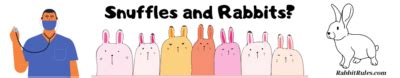 Snuffles in Rabbits | Diagnosis | Symptoms | Treatment | Advice | More