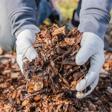 Wohin Mit Dem Herbstlaub Coole Ideen Was Sie Damit Machen Und Wie Sie