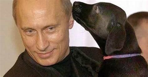 Putin and Animals | Photos of Vladimir Putin with Animals