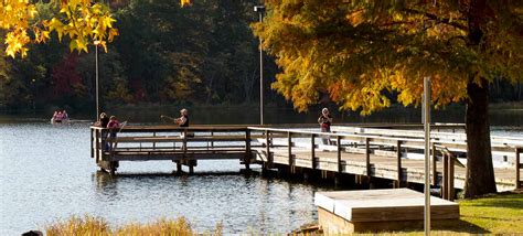 Daingerfield State Park — Texas Parks & Wildlife Department