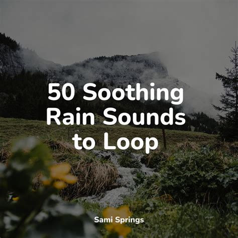 Soothing Rain Sounds To Loop Album By Loopable Rain Sounds Spotify