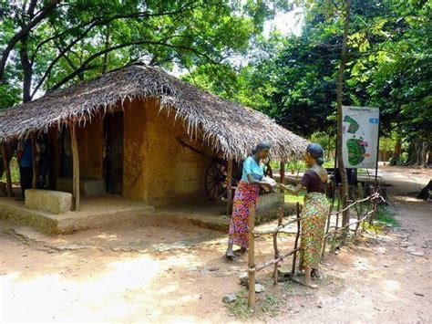 Visita Al Villaggio Rurale Sri Lanka Viaggi Eden Guida Pratica