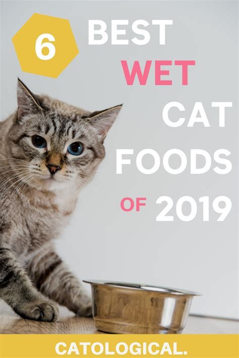 The 6 Best Wet Cat Food Brands With Ratings And Reviews For 2019 Cat Food Brands Healthy Cat