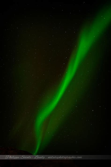 Aurore boréale sur les Lofoten - Village de Mortsund…