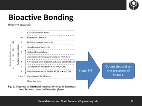 Introduction To Bioactive Glass