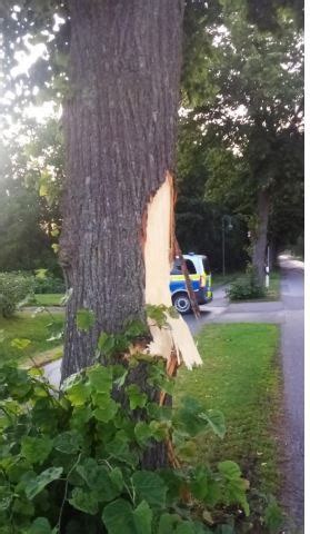 POL SE Neuendeich K 19 Fahrzeug Prallt Gegen Baum Und Entfernt Sich