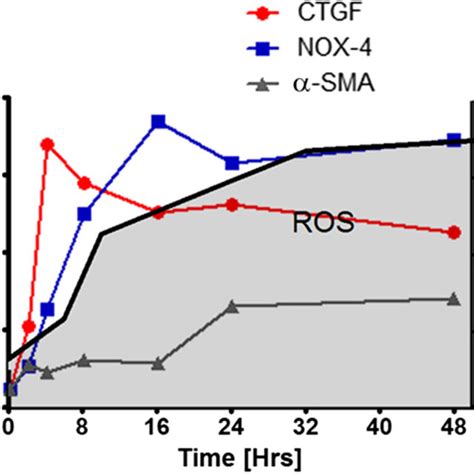 Tgf Increased Intracellular Ros Production And Ctgf Nox And Sma