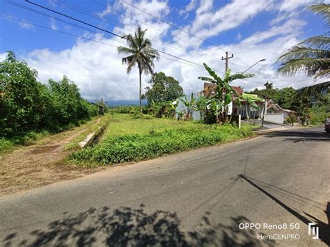 Tanah Kosong Pinggir Jalan Pekuncen Bobotsari Purbalingga