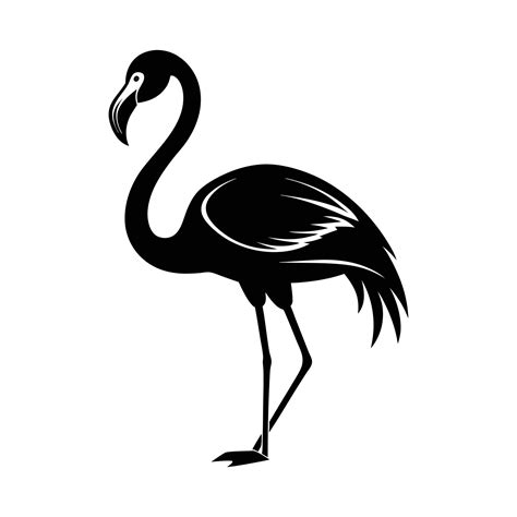 Flamingo Silhouettes art, Flamingo bird black Silhouette Clipart ...