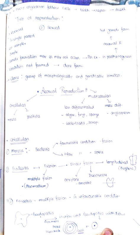 SOLUTION Class 12th Reproduction In Organism Studypool