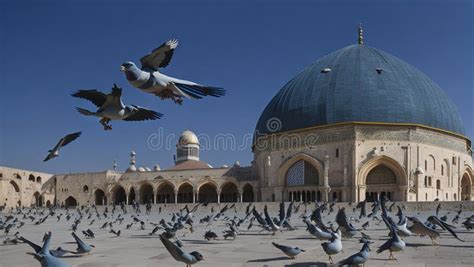 Pombos Matinais De Alaqsa Vistos Voando No Pátio Da Cúpula Do Rock Na