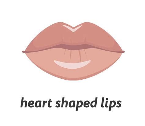 Best Way To Describe Her Lips Shapes Lipstutorial Org