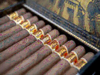 Boslucks Robusto CV Sumber Sari Sedana Bali Cigars