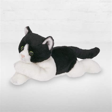 Domino Cat Plush Ashland Addison Florist Co