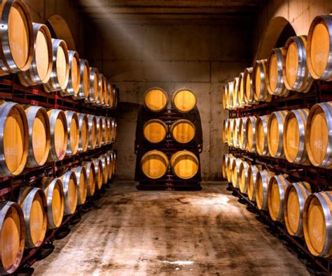 Marina Alta wine, vineyards and wineries in Alicante, Spain