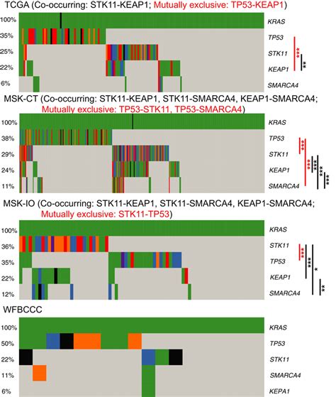 Global Somatic Mutation Landscape Of Kras Tp Stk Keap And