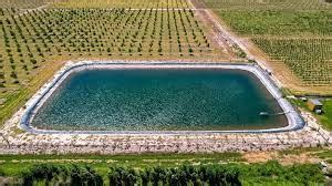 Tank Irrigation System: Check Pros & Cons, Effectiveness Here