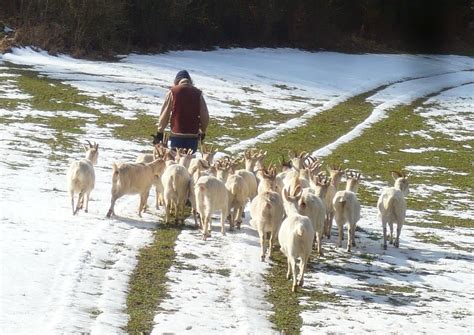 Live and Learn on Organic Farms - WWOOF Germany