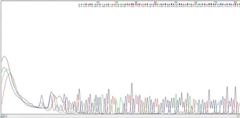 Chromatogram Nucleotide Sequence Obtained From Chromous Biotech Download Scientific Diagram