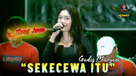 SEKECEWA ITU GADIS MURYANI VIRAL TIK TOK WONGJOWO MADIUN GB AUDIO