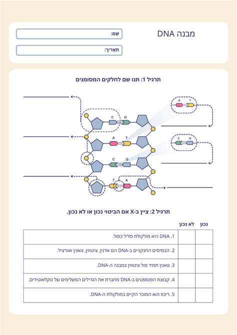 Dna Interactive Worksheet Edform