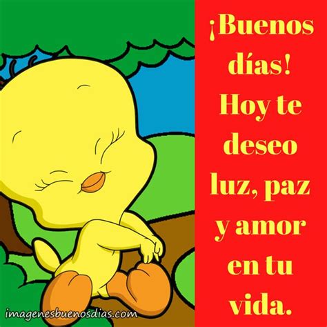 Piolin Amor