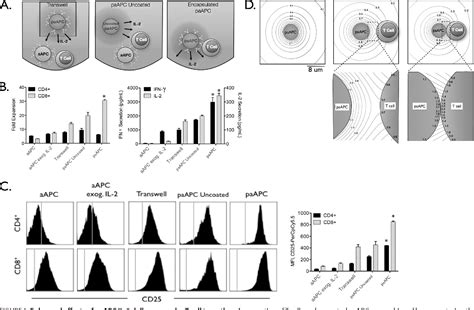 Figure 1 From An Artificial Antigen Presenting Cell With Paracrine