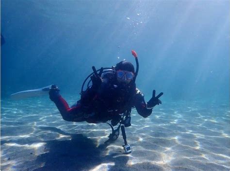 【大森発／伊豆or城ヶ島】辰年！！タツノオトシゴを見に行こう！体験ダイビング★送迎あり＆昼食付き！お1人参加大歓迎！の予約 体験レジャー