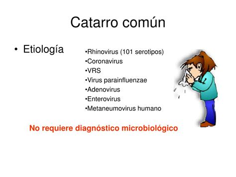 Ppt Tema Diagn Stico Microbiol Gico De Powerpoint Presentation