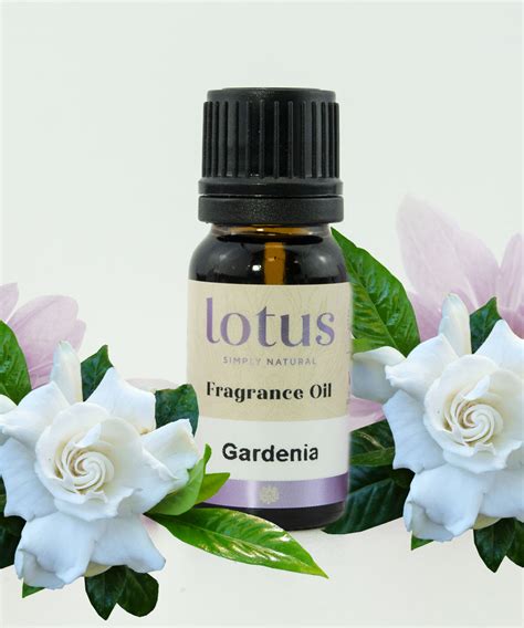 Gardenia Fragrance Oil Lotus Oils New Zealand