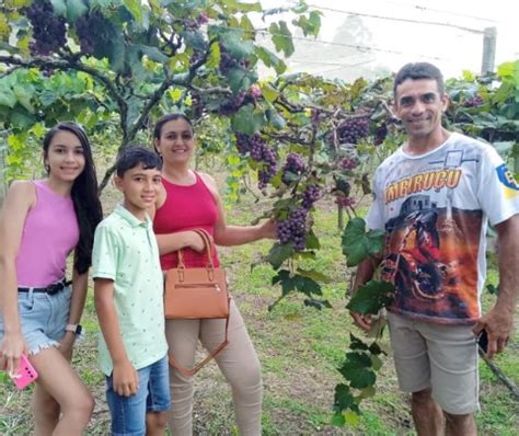 Está aberta a temporada de visitação no Cantinho das Uvas em Ibatiba