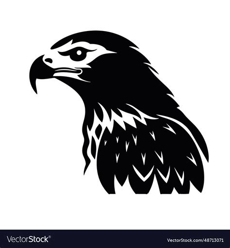 Hawk black icon on white background Royalty Free Vector