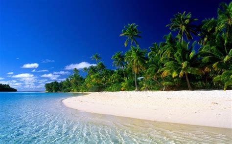 10 Tropical Beach Windows Theme