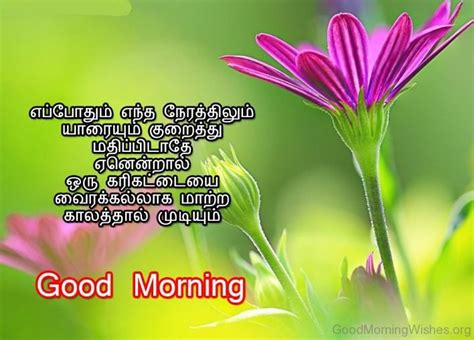 38 Lovely Tamil Good Morning Wishes Good Morning Wishes