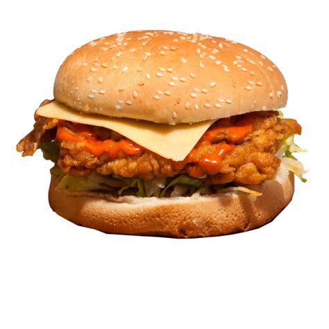 Spicy fillet chicken burger – Chicken21